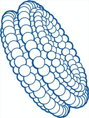 foresight-logo-notext (1)