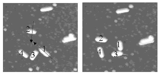 two micrographs of nanorods