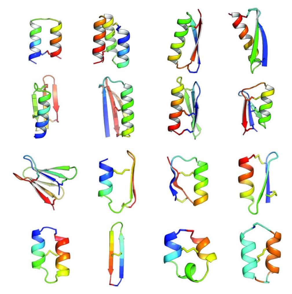 sixteen peptide topologies formed by different combinations of alpha-helices and beta strands