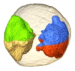 four grains within a nanoparticle 